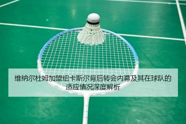 维纳尔杜姆加盟纽卡斯尔背后转会内幕及其在球队的适应情况深度解析
